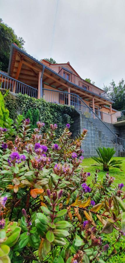 Fantatic Holiday House Ponta Delgada  Eksteriør bilde